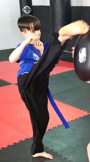 Phoenix Martial Arts - Home